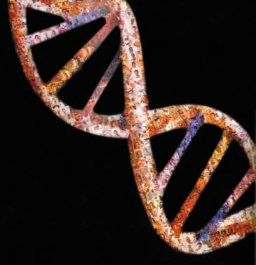 genoma y sintesis