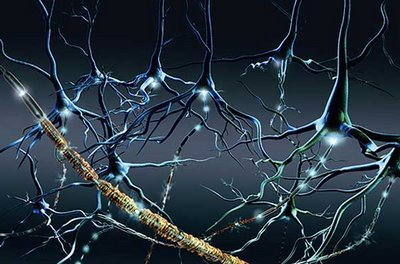 neurologia cerebro