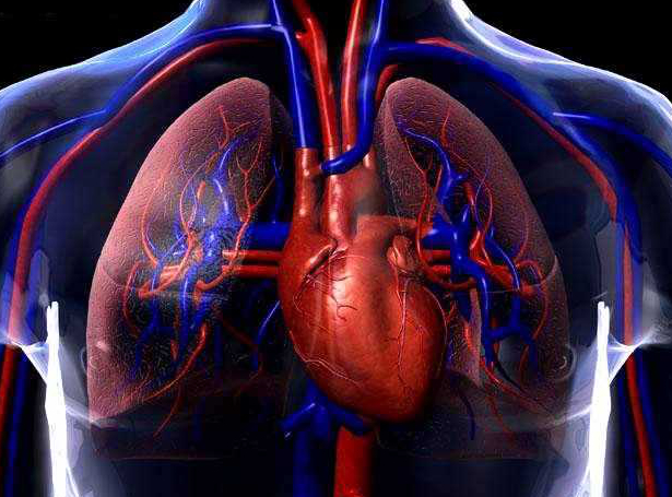 cardiopatia congenita, sindrome holt-oram
