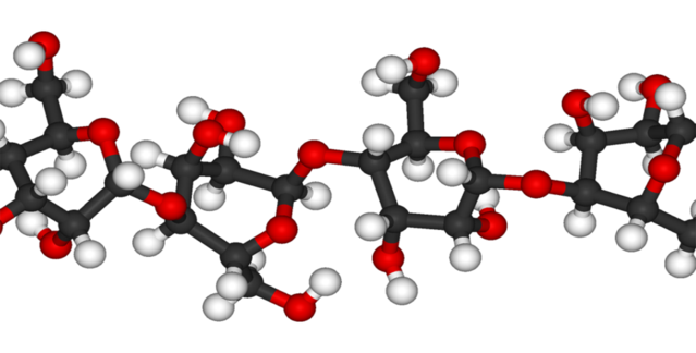aminoacidos
