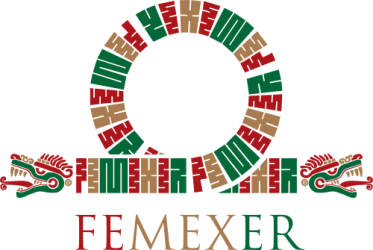 Logo de la Federación Mexicana de Enfermedades Raras (FEMEXER)