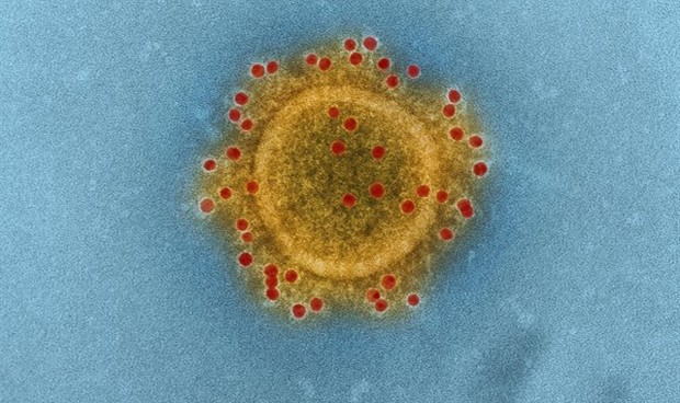 Coronavirus, China