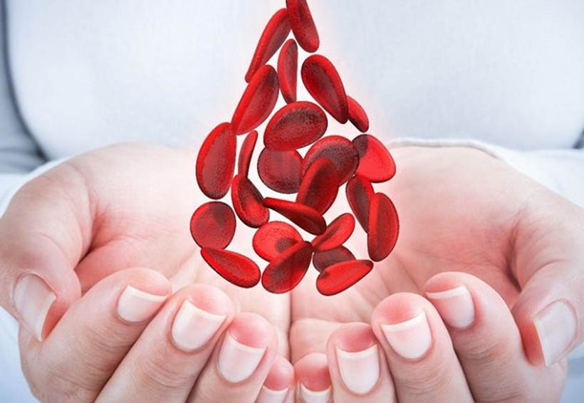hemofilia, día mundial de la hemofilia, UNAM