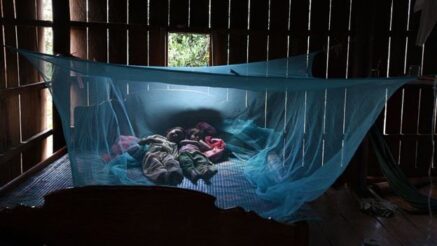 Las mosquiteros han ayudado a reducir el número de personas infectadas con malaria en todo el mundo.