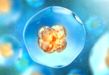 CRISPR, modificación genética embriones humanos, fines terapéuticos