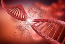 terapia edición genes CTX001 efectos duraderos pacientes TDT y células falciformes