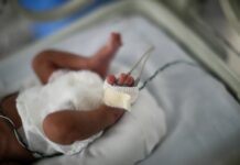 Detectan anticuerpos contra el COVID-19 en un recién nacido después de la vacunación materna