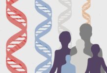 Un genoma humano, dos secuencias de referencia