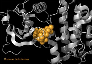 enfermedades metabólicas, enzimas defectuosas