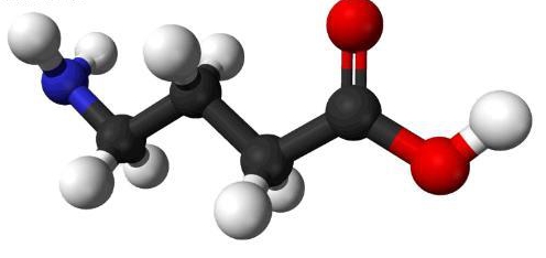 aciduria acido gamma