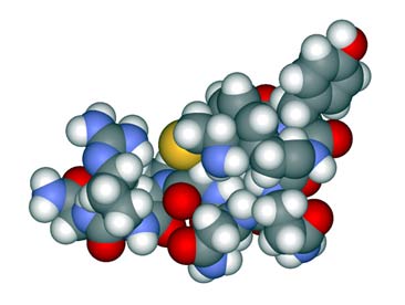 aminoacidos