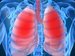 pulmones