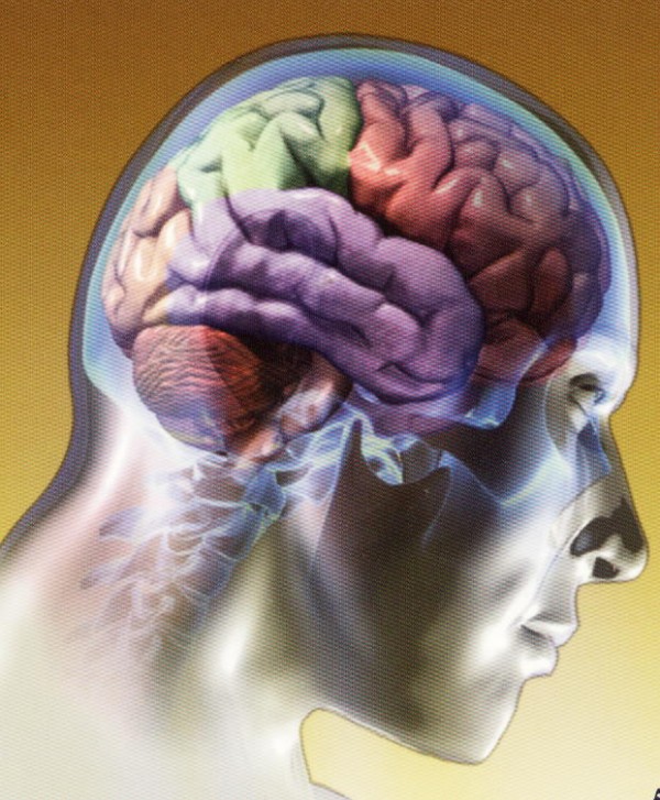 Ataxia Cerebelosa Autos mica Dominante Tipo 3 FEMEXER