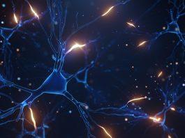 Enfermedad de Charcot-Marie-Tooth, autosómica dominante tipo 2M. Redes neuronales que se iluminan y conectan.