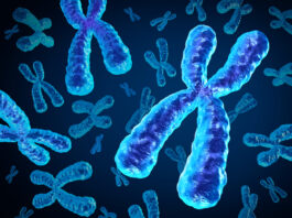 Síndrome de microdeleción 15q14