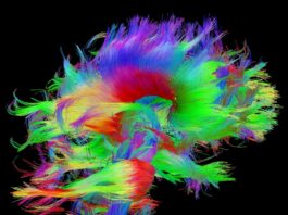 trastorno neurometabólico