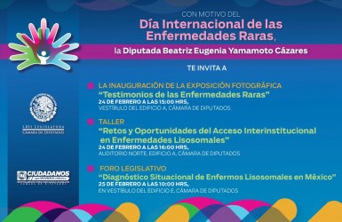 Cartel informativo sobre foro legislativo DiMER 2015