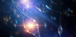 Síndrome de Lennox-Gastaut