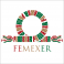 cropped-femexer_logo-512×512.png