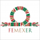 femexer_logo-512×512