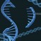 Susceptibilidad mendeliana a enfermedades micobacterianas por deficiencia parcial del IRF89