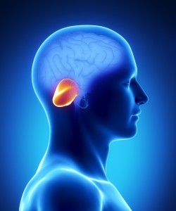 síndrome mioclonía, ataxia cerebelosa y pérdida de audición neurosensorial