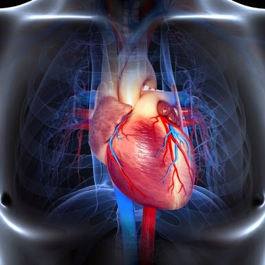 cardiomiopatía dilatada