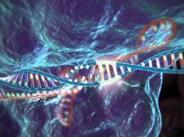 Susceptibilidad mendeliana a enfermedades micobacterianas por deficiencia completa del ISG15