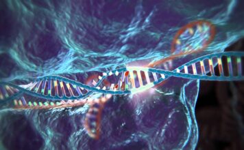 Susceptibilidad mendeliana a enfermedades micobacterianas por deficiencia completa del ISG15