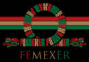 femexer_emblema-1600×200