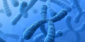 Síndrome orofaciodigital tipo 9