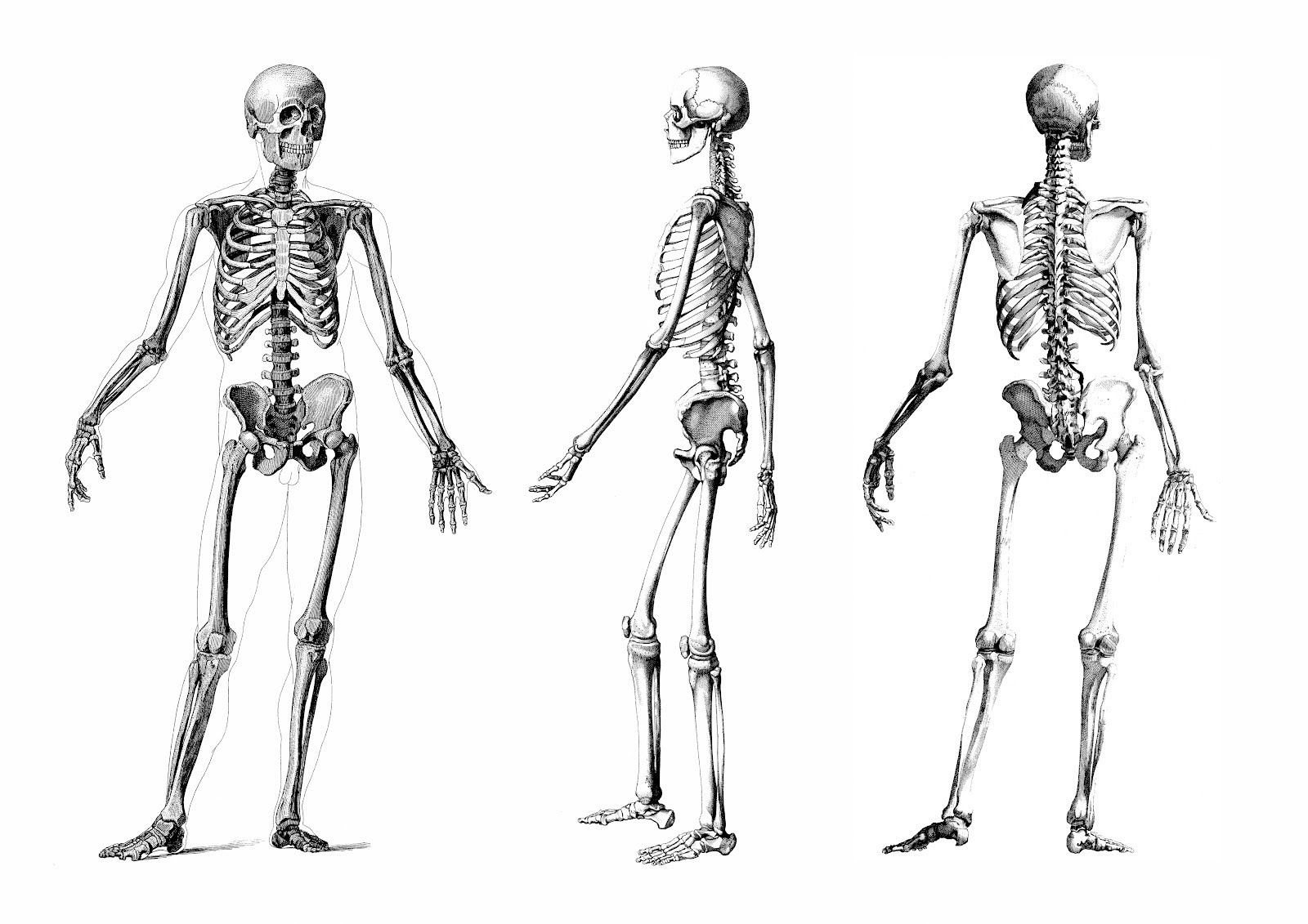 Osteocondritis disecante familiar