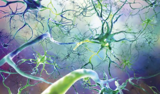 Pseudoobstrucción intestinal neuronal