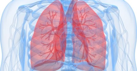 Bronquitis respiratoria - enfermedad pulmonar intersticial