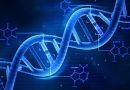 Síndrome de Angelman, CRISPR, terapia génica
