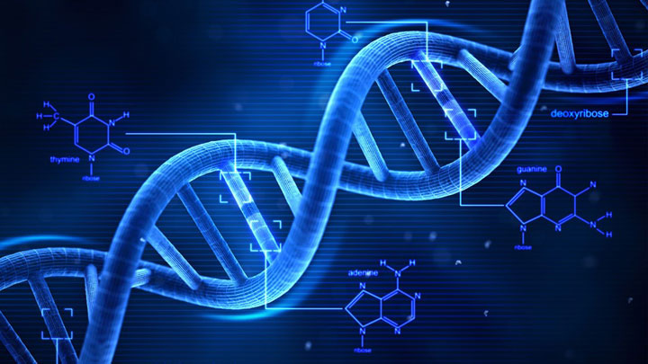 Síndrome de Angelman, CRISPR, terapia génica