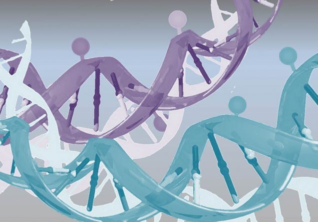 Síndrome de Fryns FEMEXER