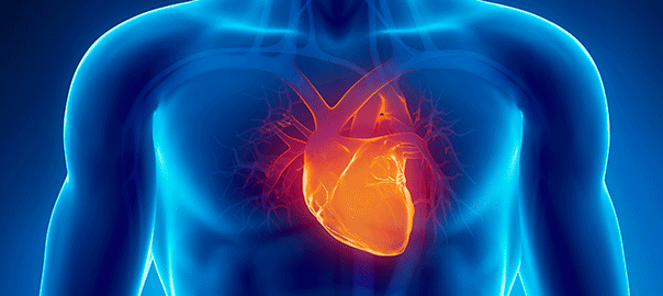 Síndrome de la enfermedad cardíaca polivalvular