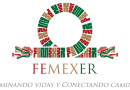 Federación Mexicana de Enfermedades Raras