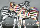 que-es-enfermedad-rara-er_800x445