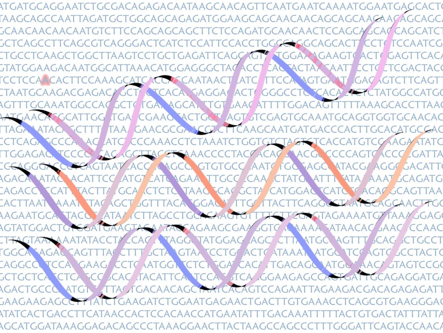 ADN, genoma