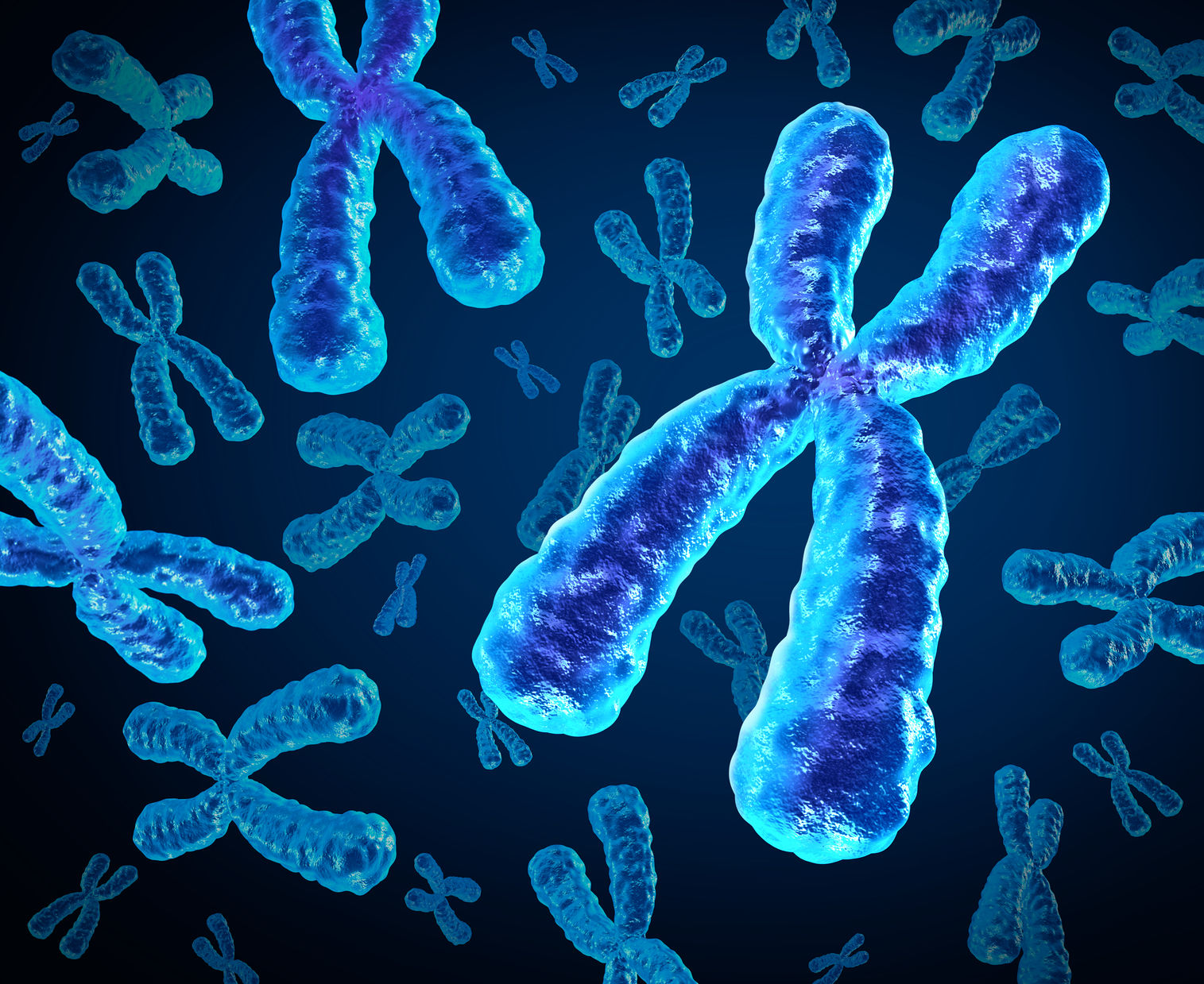 El síndrome RHYNS se caracteriza por la asociación de: retinits pigmentosa, hipopituitarismo, nefronoptisis y displasia esquelética.