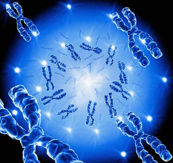 Síndrome del cromosoma 8 recombinante