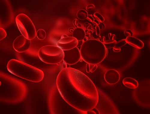 Anemia hemolítica por deficiencia de piruvato quinasa de los glóbulos rojos