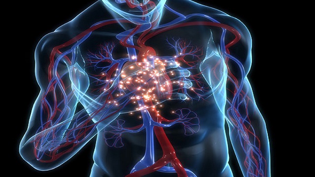 Conexiones atrioventriculares trenzadas