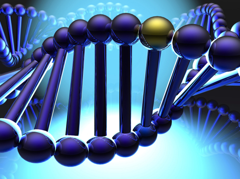 Deficiencia de carnitina palmitoiltransferasa II, forma miopática