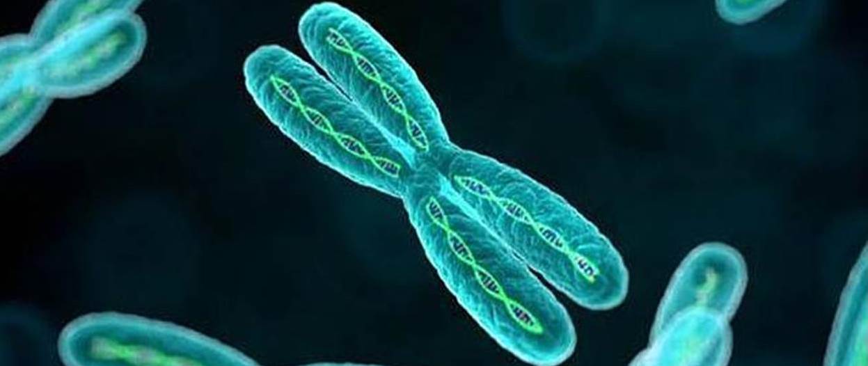 Enfermedad de almacenamiento de glucógeno por deficiencia de LAMP-2