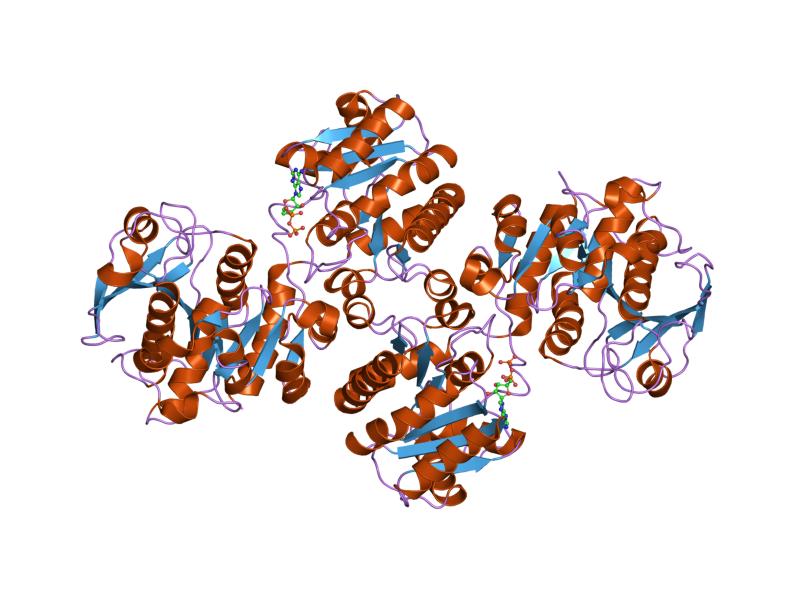 Enfermedad de almacenamiento de glucógeno por deficiencia de glucosa-6-fosfatasa tipo Ia