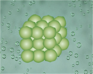 Fiebre de Pontiac FEMEXER