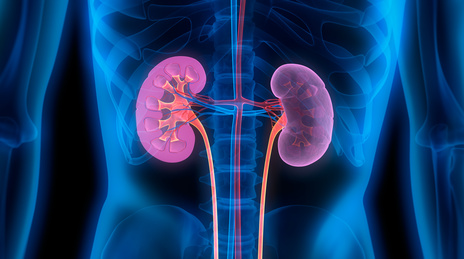 Hipoplasia renal